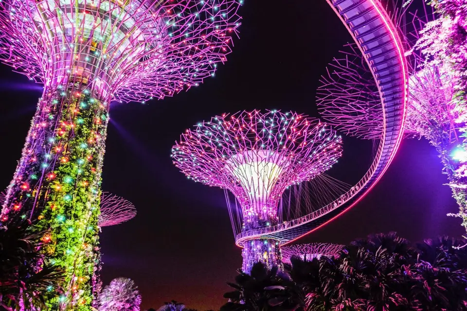 Singapore at night - Picture of the Supertrees at Gardens by the Bay in Singapore