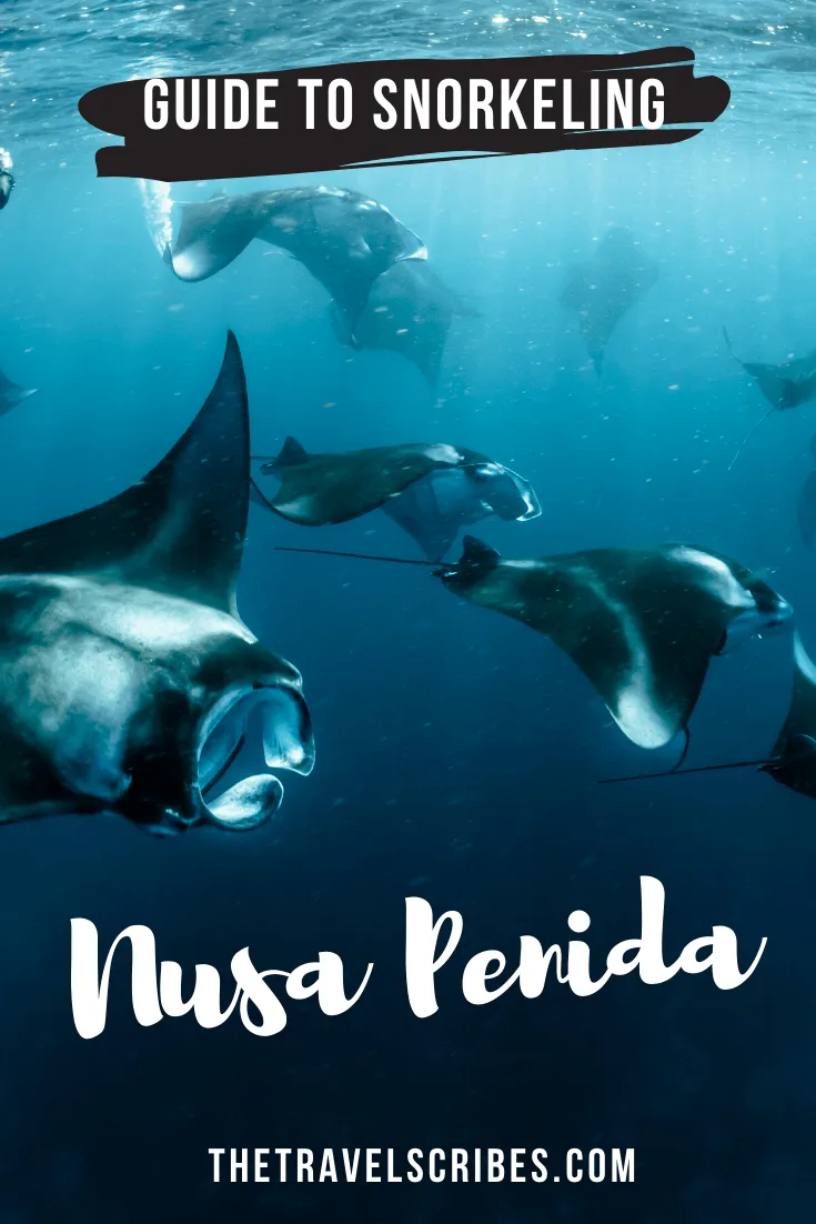 Snorkeling Nusa Penida - Pinterest