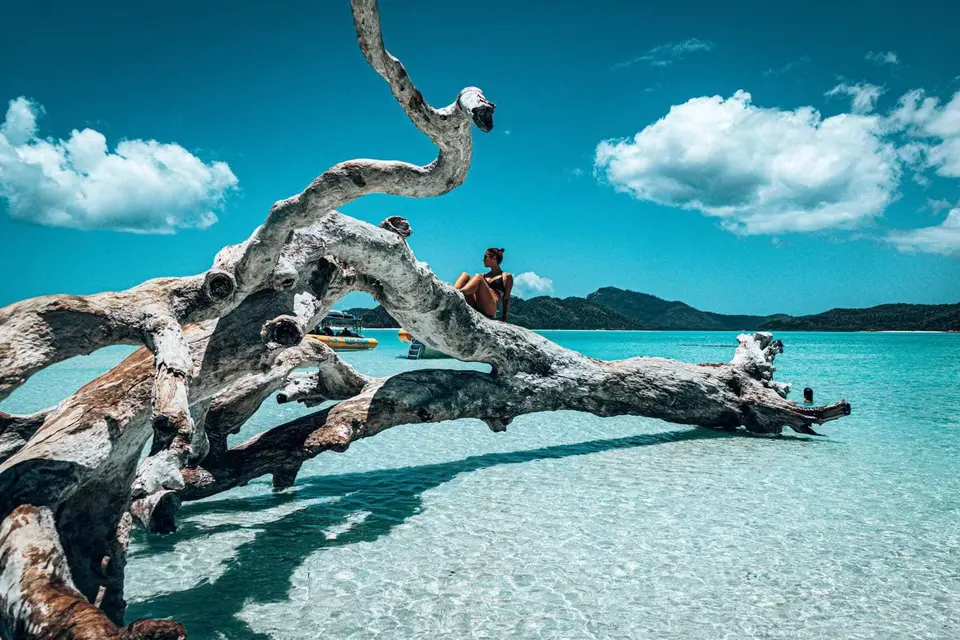 Cairns to Brisbane