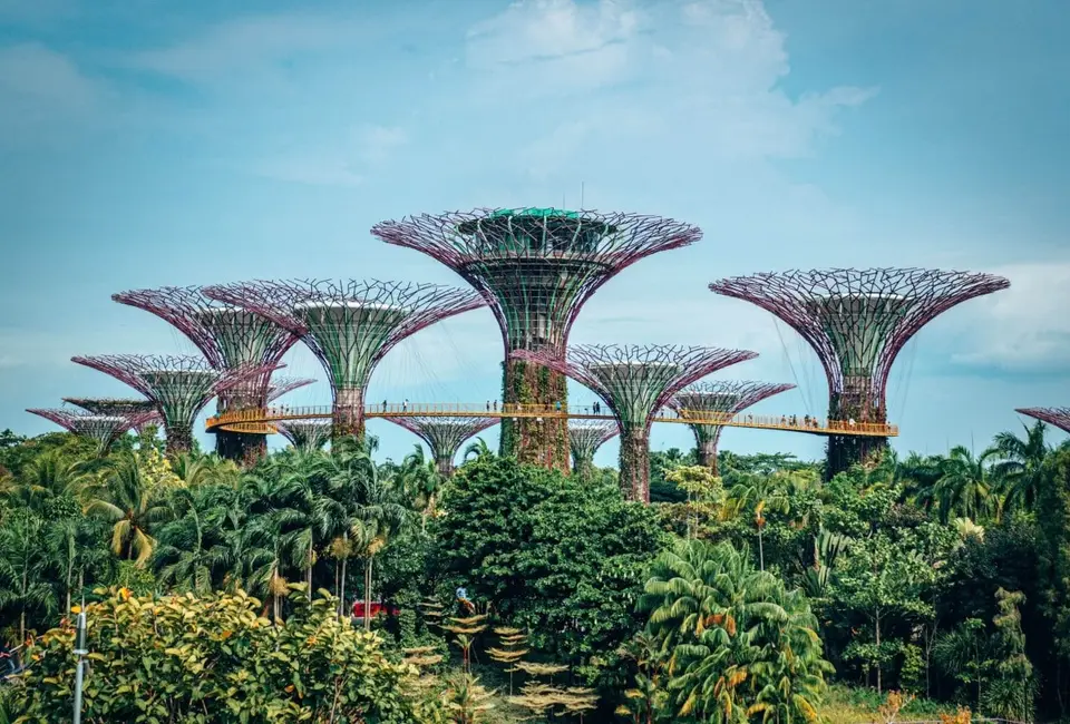 Gardens by the Bay Supertrees