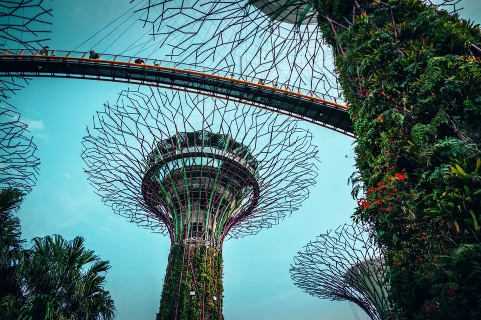 Gardens by the Bay - SuperTree Grove