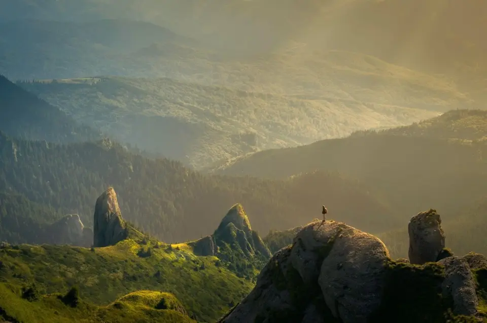 Nature Hashtags header