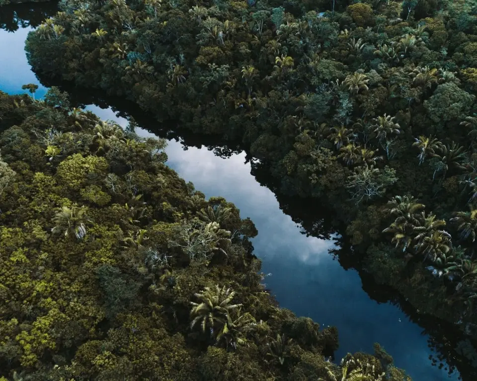Amazon, a famous landmark on the planet
