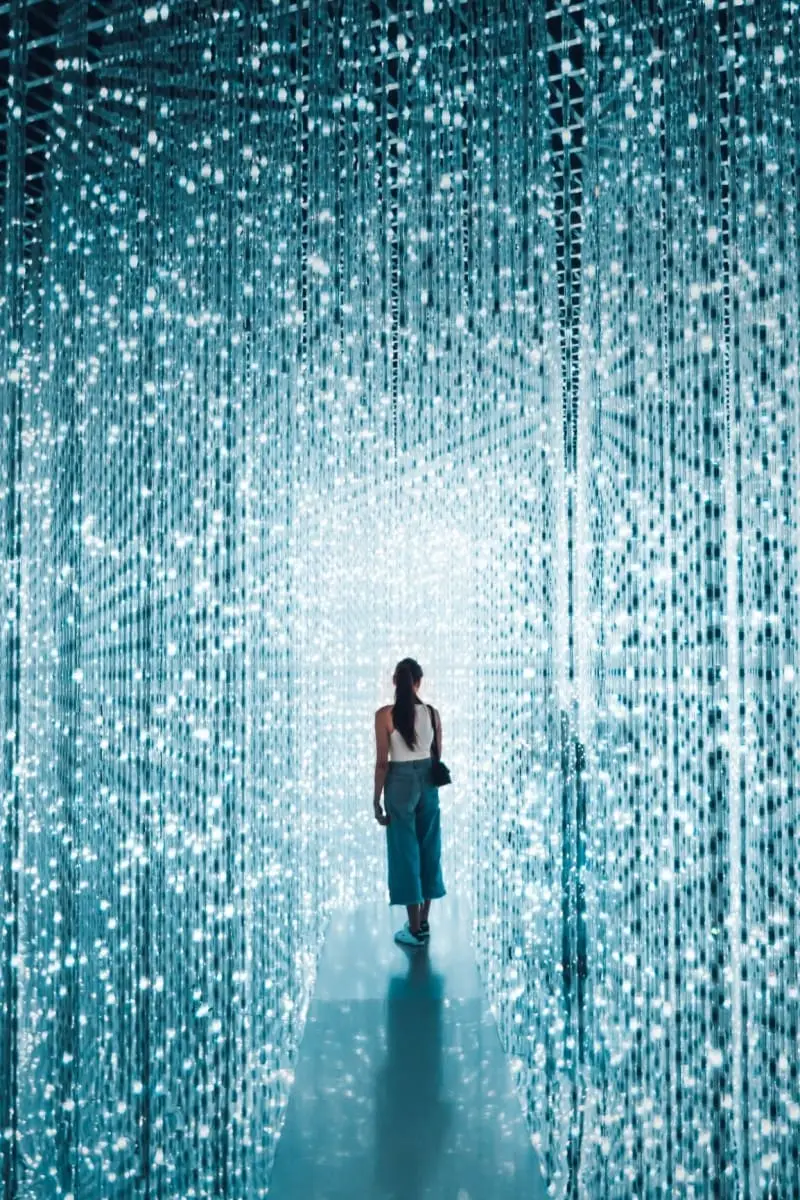 The ArtScience Museum is one of the top Singapore photography places