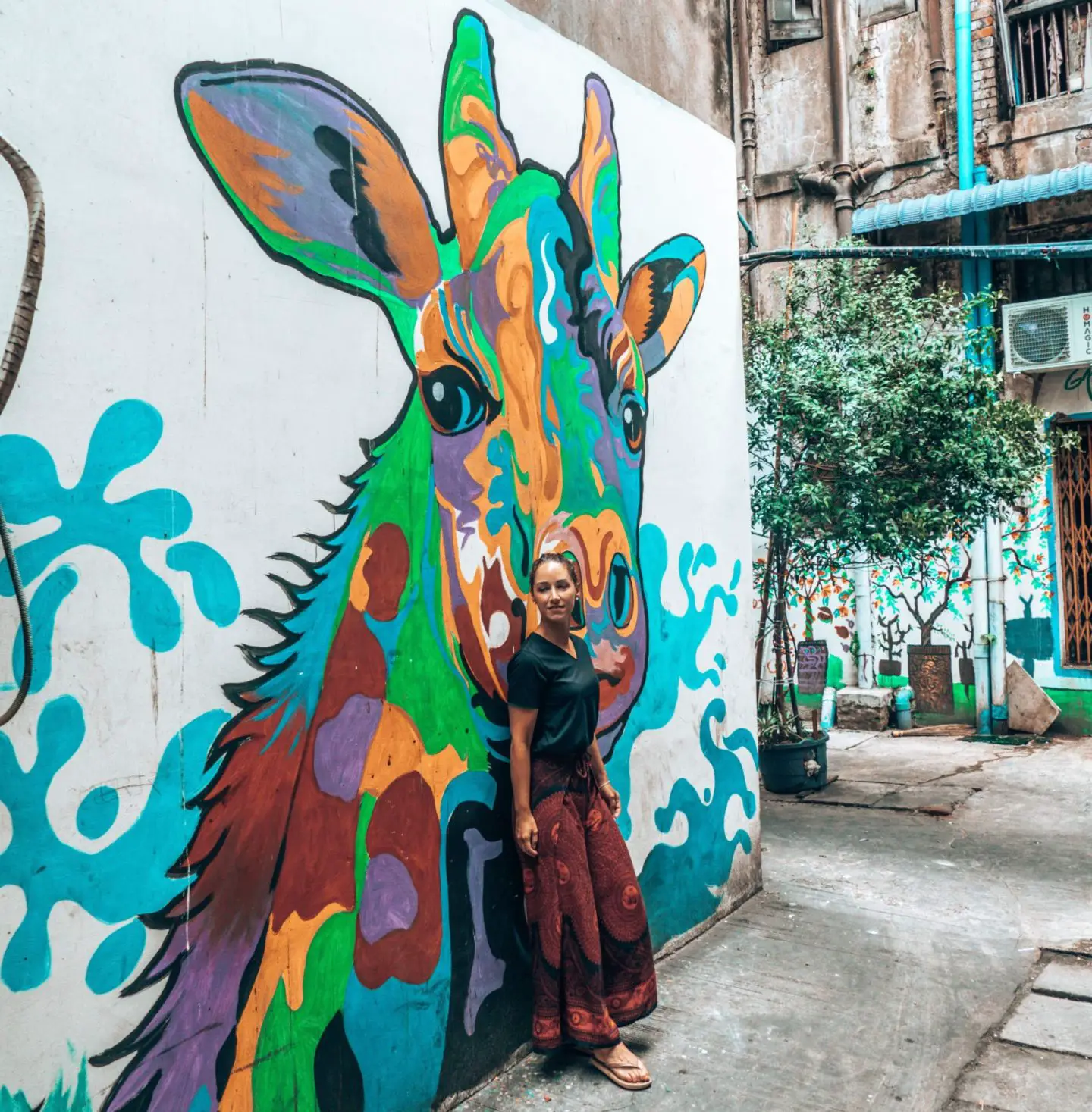 Yangon Street Art Giraffe and Lee