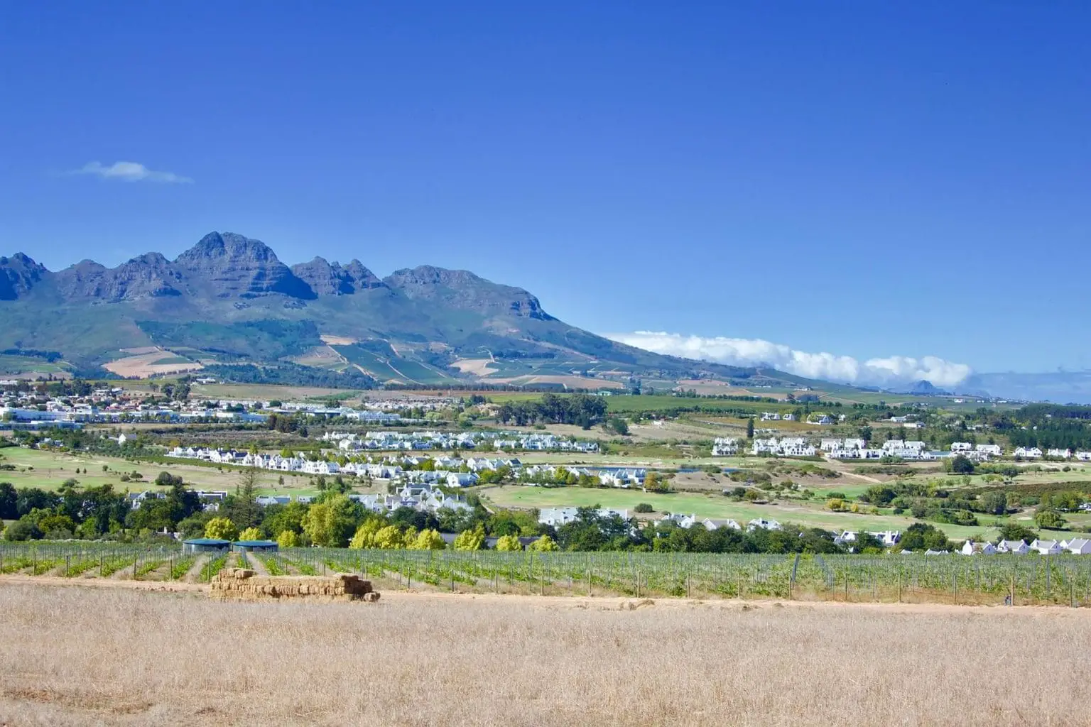 Image of Stellenbosch town