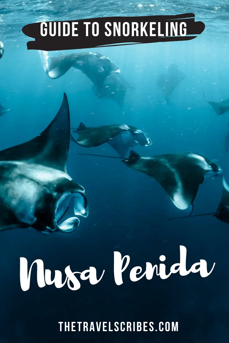 Snorkeling Nusa Penida - Pinterest