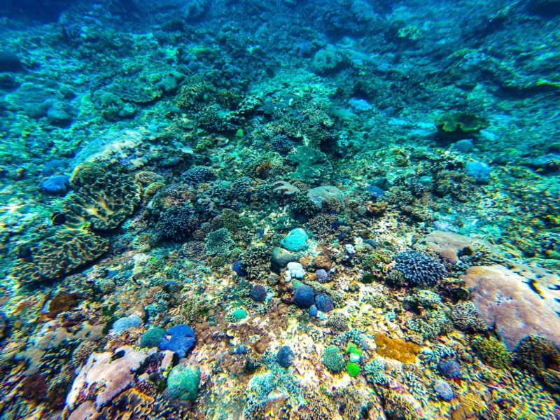 Snorkeling Nusa Penida A Complete Guide To This Island Paradise
