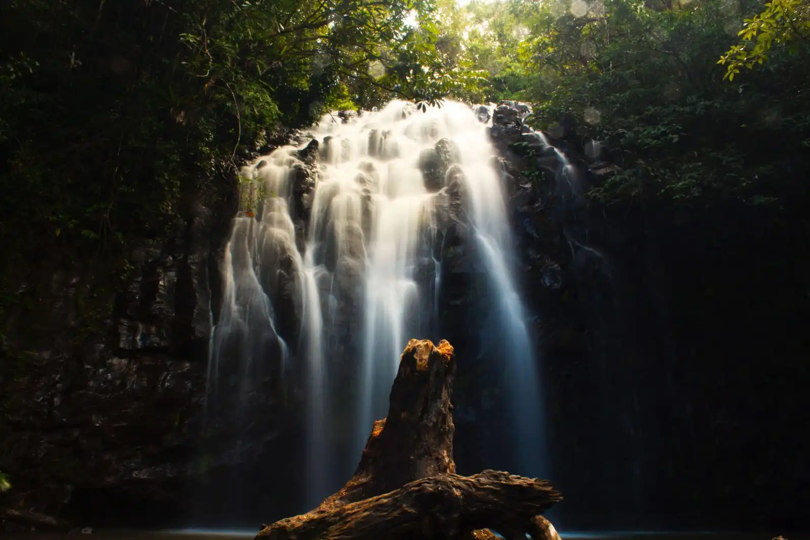 Ellinjaa Falls near Cairns