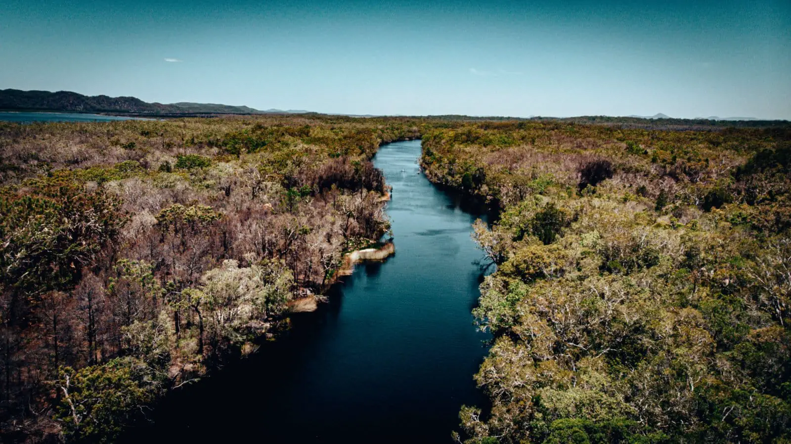 Noosa Everglades Tour - Noosa River drone