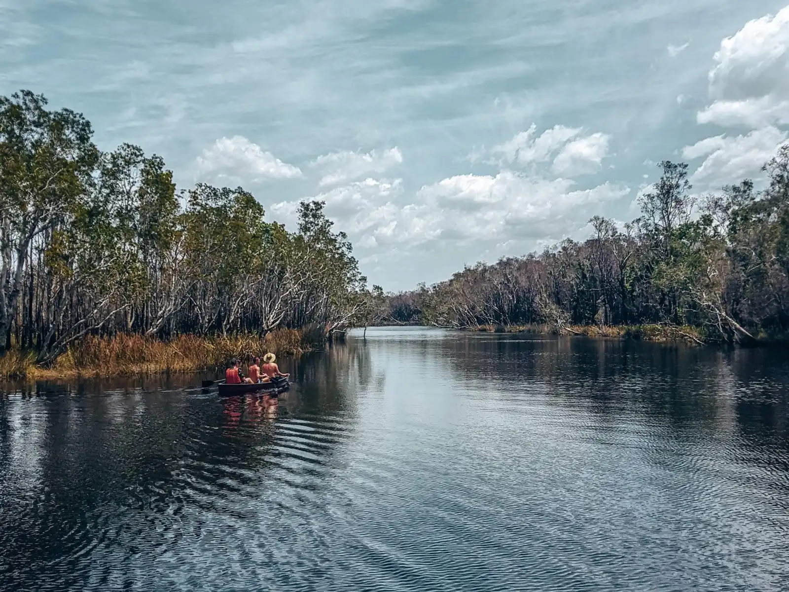 Kayaking in the Noosa Everglades