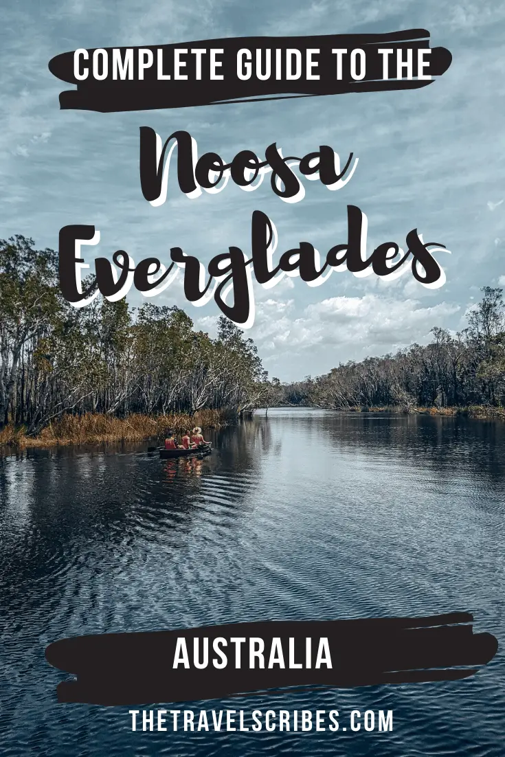 Noosa Everglades Safari