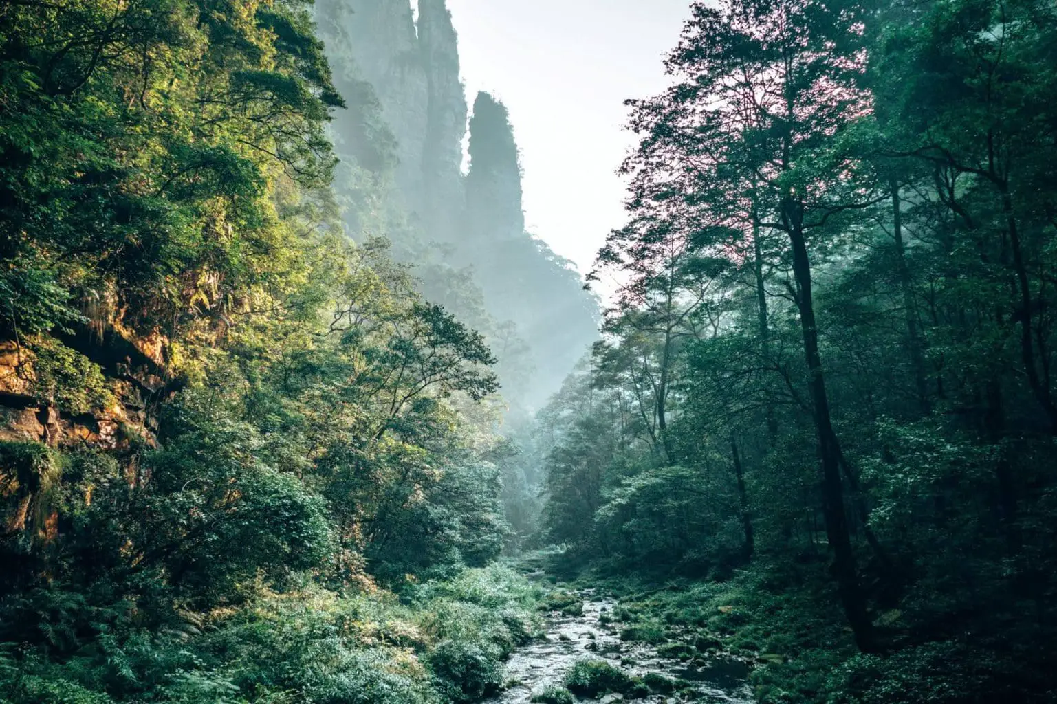 travel to zhangjiajie national forest park