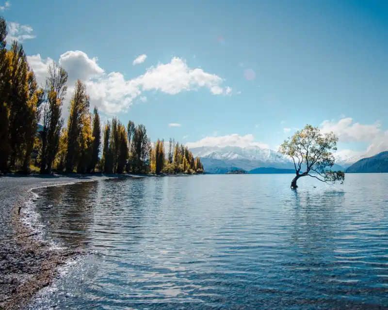 The Christchurch to Queenstown Drive | New Zealand's best road trip