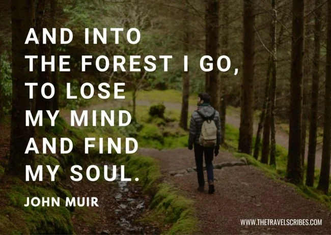 Quotes about hiking in woods